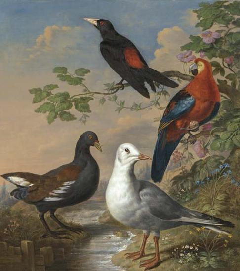 Philip Reinagle A Moorhen, A Gull, A Scarlet Macaw and Red-Rumped A Cacique By a Stream in a Landscape